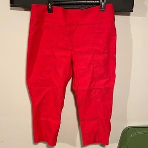 Apt 9 - Brynn Pull-on Dressy Capri Pant -16